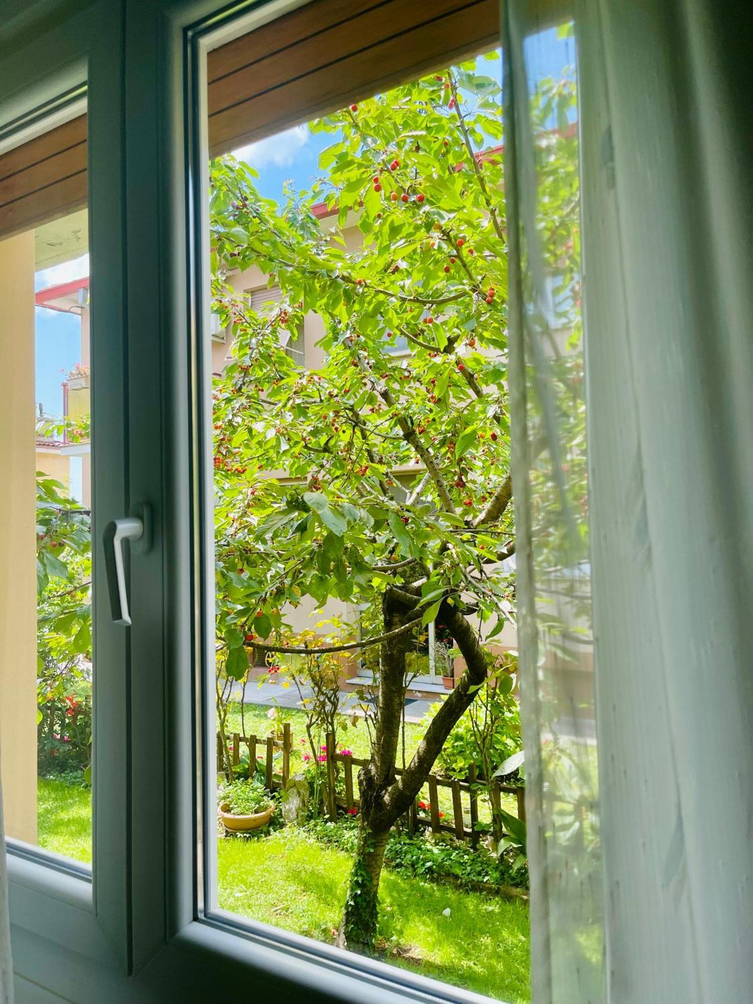 Le Rose Apartment Trieste Luaran gambar